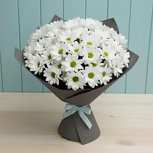 Букет цветов из:  Хризантемы #REPLACE_PRED# Калтасы