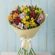 Букет цветов из:  Альстромерии в Калтасы